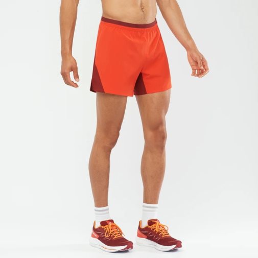 Red Salomon Cross 5'' Men's Shorts | IE AV6942